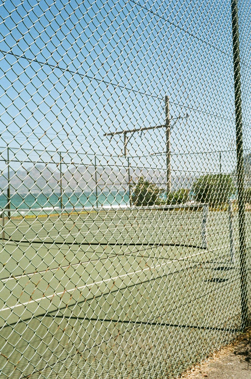 Fenced In